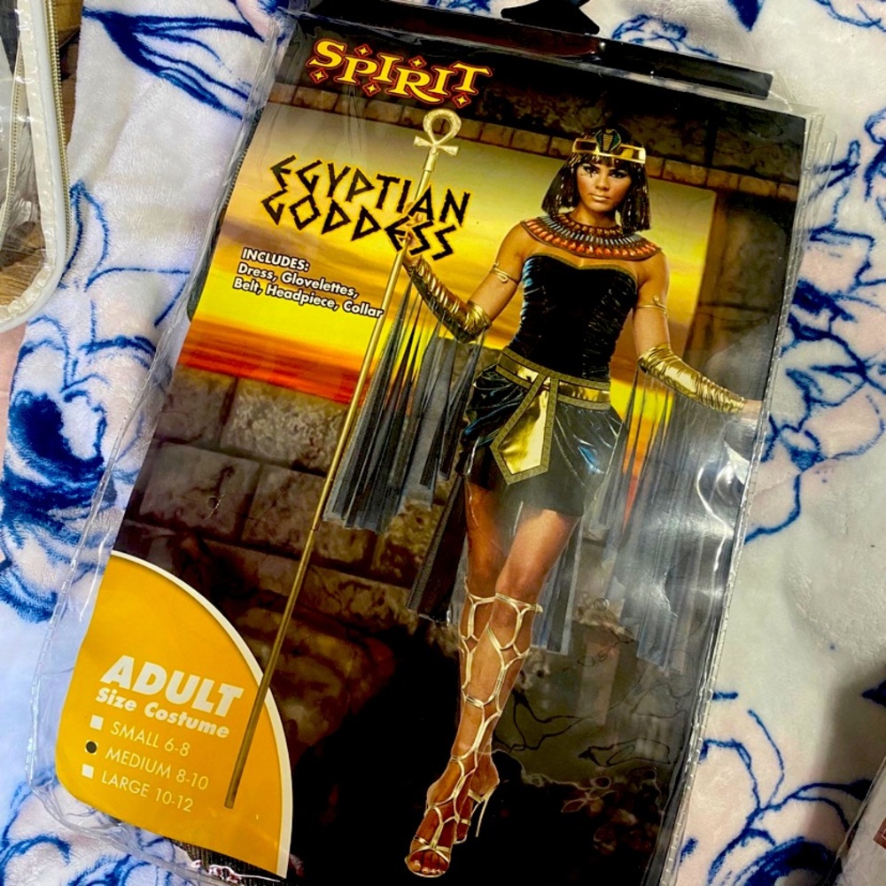 Egyptian Goddess Cleopatra Costume